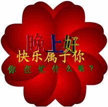今晚，夜色中的故事与情感交织，夜色中的故事与情感交织之夜