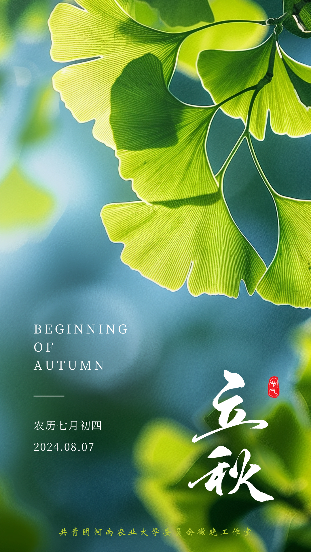 今天立秋，感受秋天的美好与变化，立秋之际，感受秋的美好与变迁