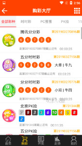 域名www王中王平特一肖c.m背后的故事，揭秘域名www王中王平特一肖c.m背后的故事