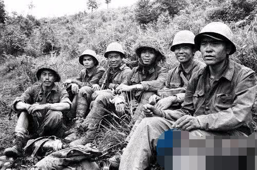 中越战争血战凉山电影，历史与艺术的交织，中越战争背景下凉山血战的影视呈现，历史与艺术的交融之旅