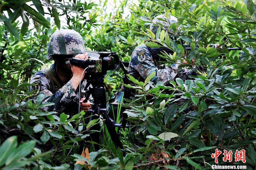 解放军七大训练基地，塑造现代化军事力量的摇篮，解放军七大训练基地，现代化军事力量的培育摇篮