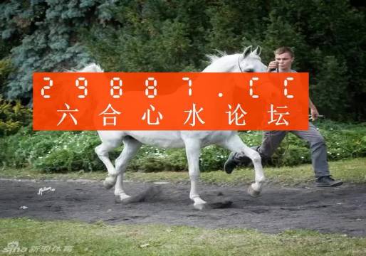 王中王马数一肖中特，探寻背后的故事与意义，探寻王中王马数一肖中特背后的故事与深层含义