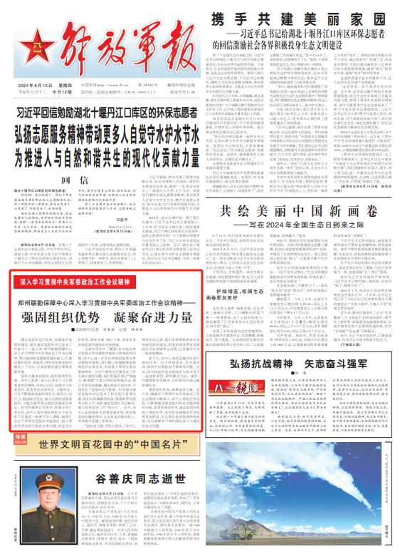 深度解析与前瞻展望