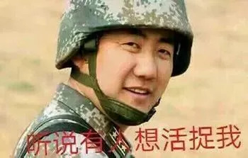 踏平满广志,深度解析背后的意义与动因,踏平满广志,背后的意义与动因深度解析