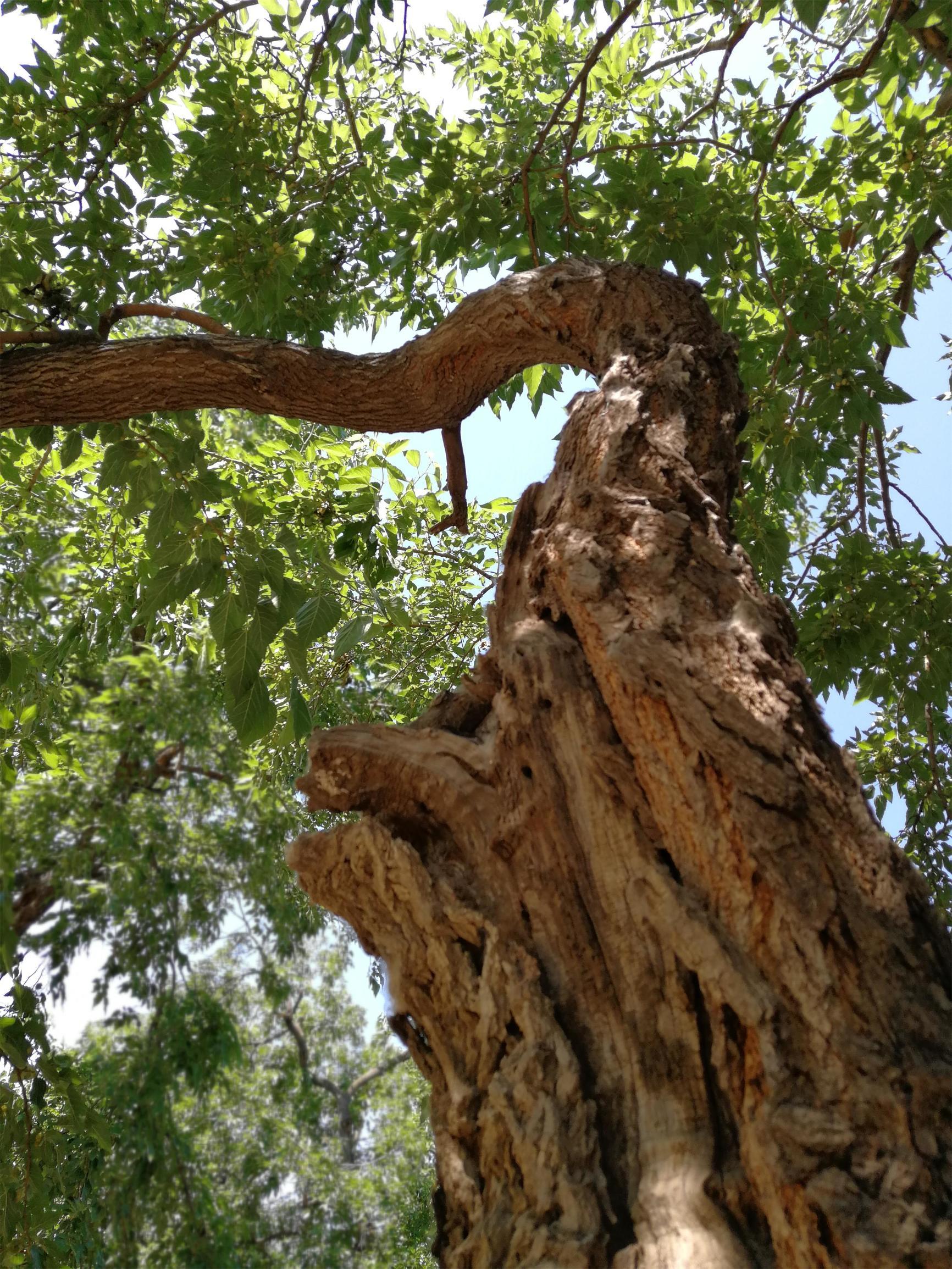 中国最新自然灾害消息及其影响,中国最新自然灾害消息及其影响概述