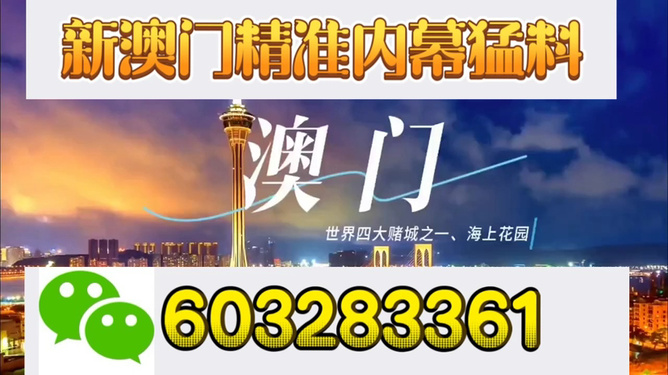 新澳门开奖结果，探索与解析，新澳门开奖结果深度解析与探索