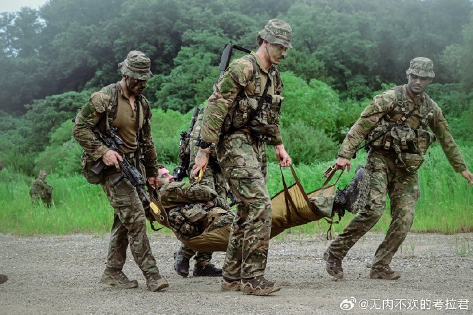 新西兰军事,概述与探析,新西兰军事概览与深度探析