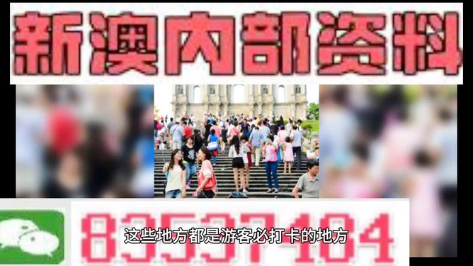 新澳精准资料免费提供的深度解析与影响，新澳精准资料免费提供的深度解析及其影响