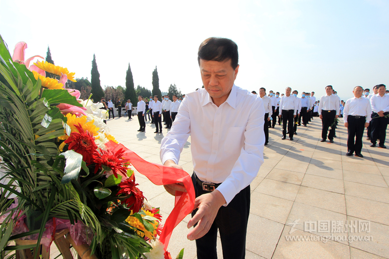 滕州市人民武装部官网，连接军民，共筑强军梦，滕州市人民武装部官网，军民共筑强军梦