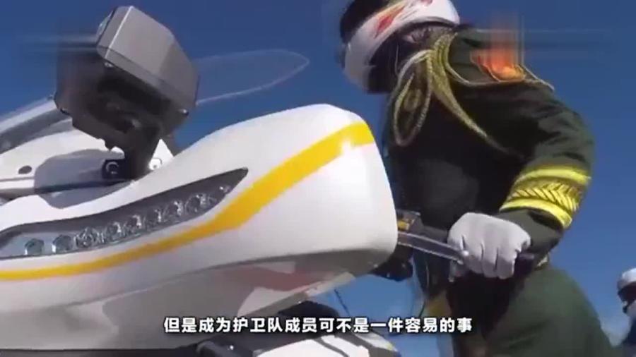 国宾护卫队，实力与荣耀的象征，国宾护卫队，实力与荣耀的典范