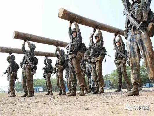 不属于战略支援部队兵种的一些军事领域知识探讨，战略支援部队之外军事领域知识探讨