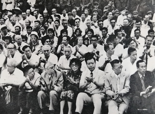 重温历史荣光，1981年大阅兵视频的回眸与思考，重温历史荣光，1981年大阅兵视频的回眸与启示
