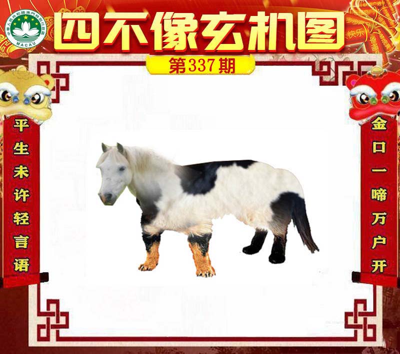 彩票文化
