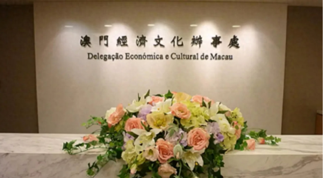 澳门一码一肖一特一中今晚的秘密与魅力，澳门今晚一码一肖一特一中，秘密与魅力的独特之夜