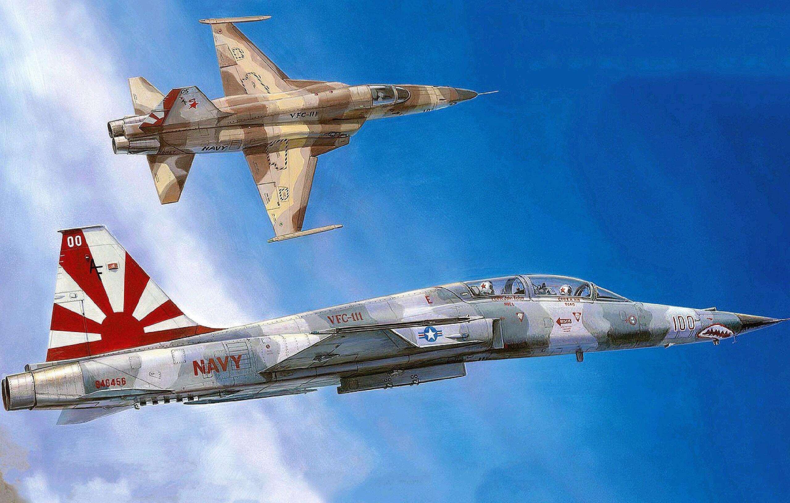 F-5A战斗机，空中力量的璀璨明珠，F-5A战斗机，空中璀璨明珠闪耀天际