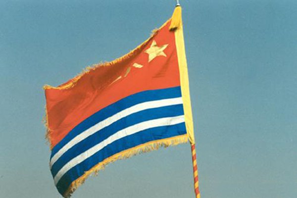 中国人民解放军军种之五大类别，中国人民解放军五大军种概览