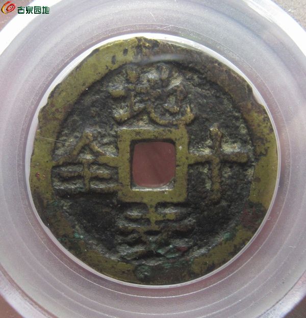 金多宝王中王平特一肖，探寻背后的故事与意义，金多宝王中王平特一肖，背后的故事与意义探寻