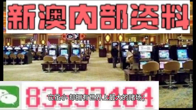新澳精准正版资料免费获取的重要性及其影响，新澳精准正版资料免费获取的重要性及其深远影响