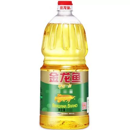 深度解析与探索（或“探索之旅”）