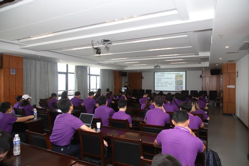 台湾省在2021年的GDP分析与展望，台湾省GDP分析与展望，2021年回顾与未来展望