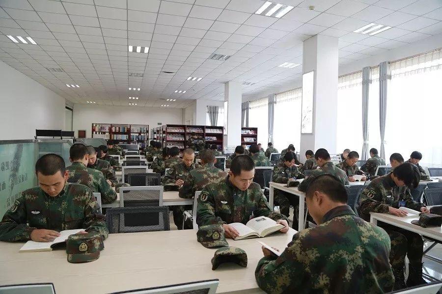 军情点评人员的角色与职责，深度解析军事动态的专业力量，军情点评人员的角色与职责，深度解读军事动态的专业视角