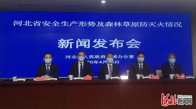 河北今日重大新闻综述，河北今日重大新闻综述，最新动态与深度解析