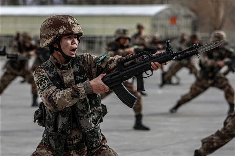 雪山之巅的女兵特战连，战鹰与女战士们的荣耀，雪山之巅的女兵特战连，战鹰下的荣耀与坚韧