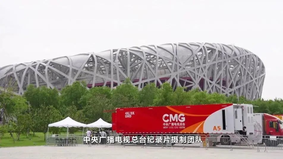 凤凰巢中的王者传奇，王中王与数字7777788888的故事，凤凰巢王者传奇，王中王与神秘数字7777788888的故事