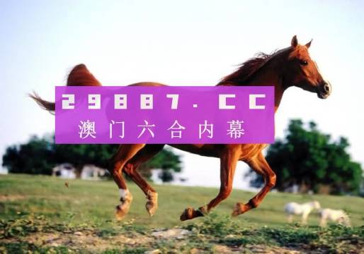 澳门大三巴一肖一码一是什么意思，解读背后的文化、历史与神秘色彩，澳门大三巴一肖一码背后的文化、历史与神秘色彩解读