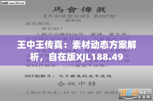 探索正版王中王777777与88888的独特魅力，正版王中王与88888独特魅力探索