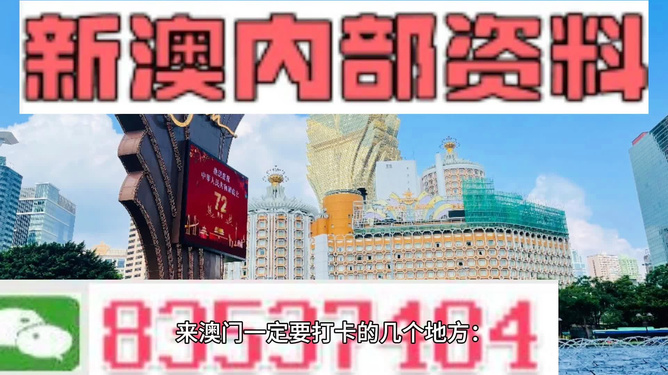 新澳门天天精准免费大全谜，探索未知的魅力与乐趣，新澳门天天精准免费大全谜，未知魅力与乐趣的探索