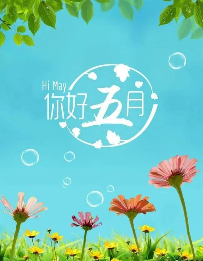 今日重大新闻，揭秘2021年4月1日的独特事件，揭秘2021年4月1日独特事件，今日重大新闻一览