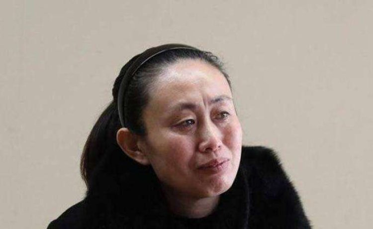 江秋莲诉刘鑫案将开庭，深度解读事件背景与影响，江秋莲诉刘鑫案即将开庭，事件背景与影响深度解析