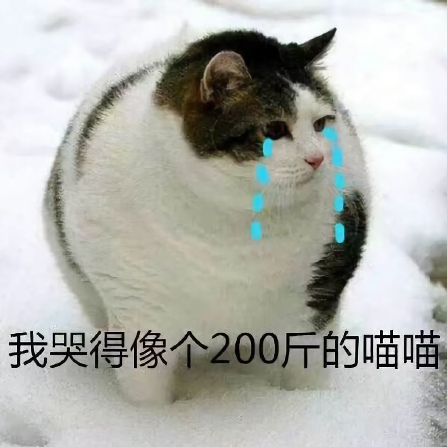 澳门一码一肖一待一中四不像，探索神秘与现实的交融，澳门神秘现象揭秘，一码一肖一待一中四不像的奥秘探索