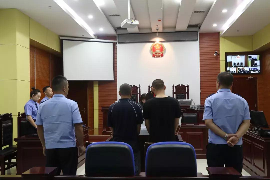 今天发生的重大交通事故及其影响，今日重大交通事故及其社会影响概述