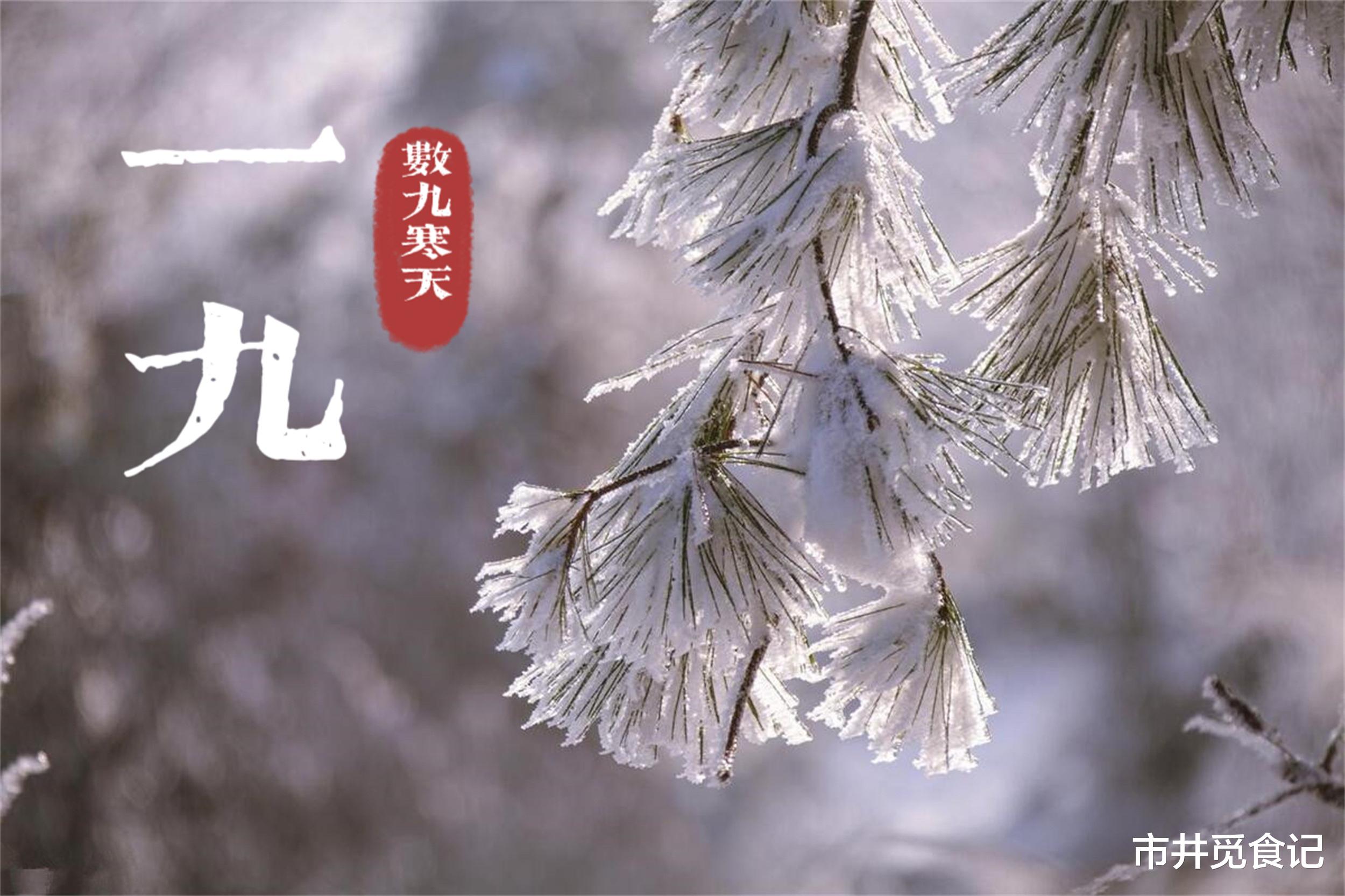 今天是几九天——探寻中国传统节气与日常生活的关系，中国传统节气与日常生活的紧密关联，今天是几九天？