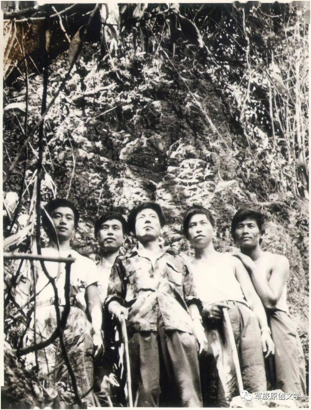 陆军十四军第40师简介，陆军十四军第40师概览