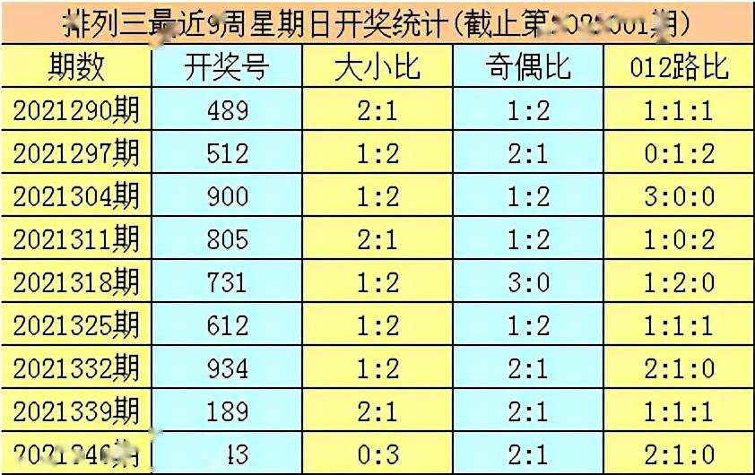 探索肖十二码，解码数字时代的奥秘，肖十二码揭秘，解码数字时代的奥秘探索
