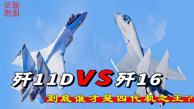 歼-11D的价格及其影响,歼-11D的价格及其市场影响力分析
