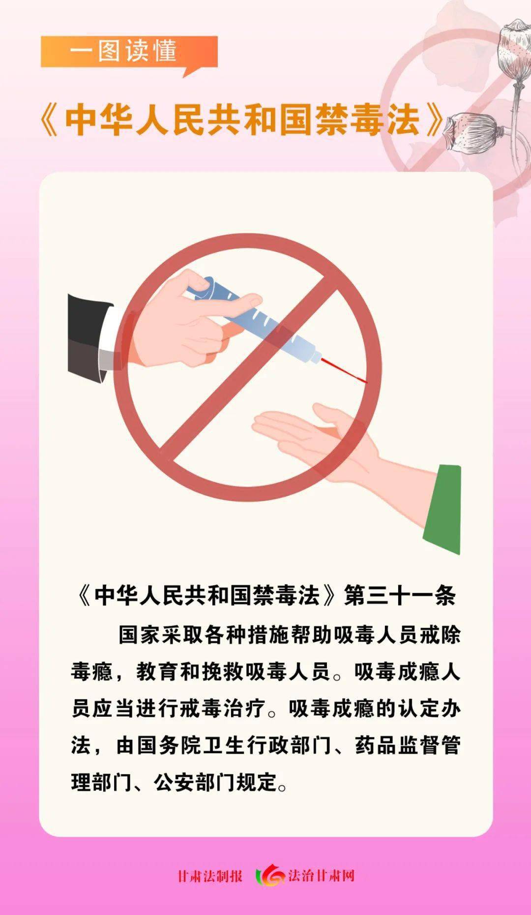 中华人民共和国禁毒法的实施及其深远影响，中华人民共和国禁毒法的实施及其深远影响的探究