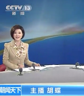 朝闻天下女主播名单及其影响力探究，朝闻天下女主播名单及影响力深度解析