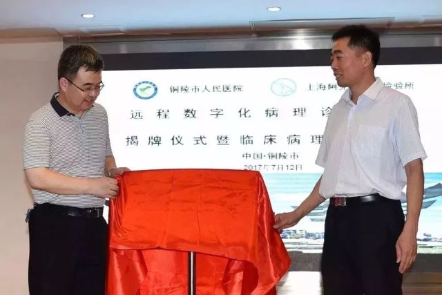 最新大新闻事件，全球视角下的深度解读，全球大新闻事件深度解读与分析