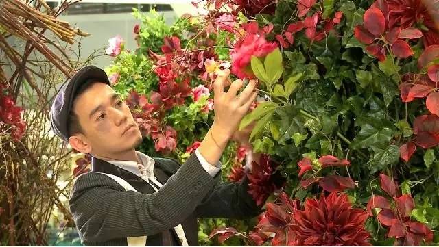 今天也是莬丝花,绽放的美丽与坚韧的力量,莬丝花,绽放的美丽与坚韧的力量