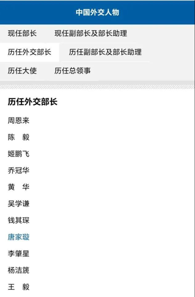 当前外交部部长及副部长名单及其角色分析，外交部部长副部长名单揭秘，角色与影响力分析