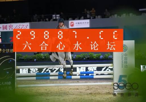 王中王一肖平码三中三，探索与解析，王中王一肖平码三中三，深度探索与解析