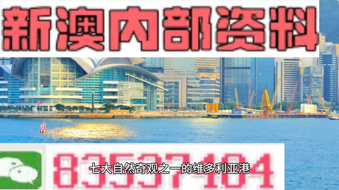 新澳内部资料精准一码，揭秘其背后的秘密与重要性，揭秘新澳内部精准一码，背后的秘密与重要性探究