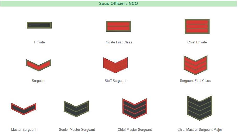 空军部队编制,构建高效作战力量的核心要素,空军部队编制,高效作战力量的基石