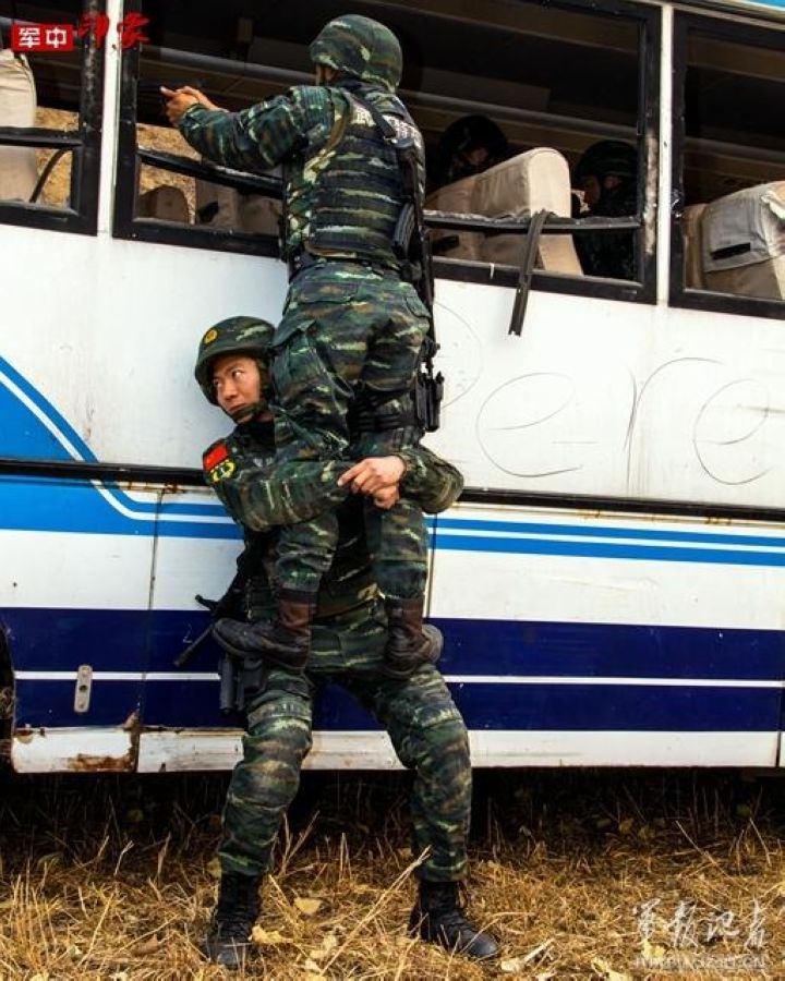 中国人民武装警察部队特种警察学院深度解析，一所优秀的高等军事学府，中国人民武装警察部队特种警察学院深度解析，优秀高等军事学府的独特魅力