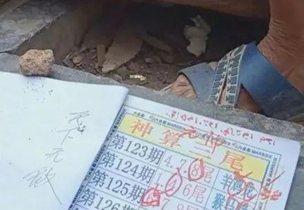 关于2025六开彩天天免费资料大全的探讨，揭秘2025六开彩天天免费资料大全，深度探讨与解析