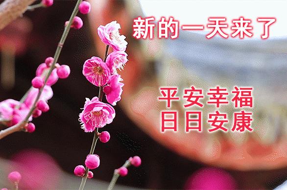 励志之光，照耀在2021年的真实新闻事件，励志之光，照亮2021时事新闻之路